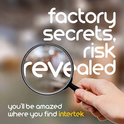 A magnifying glass held in a hand