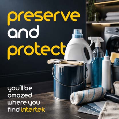 household cleaning and painting supplies